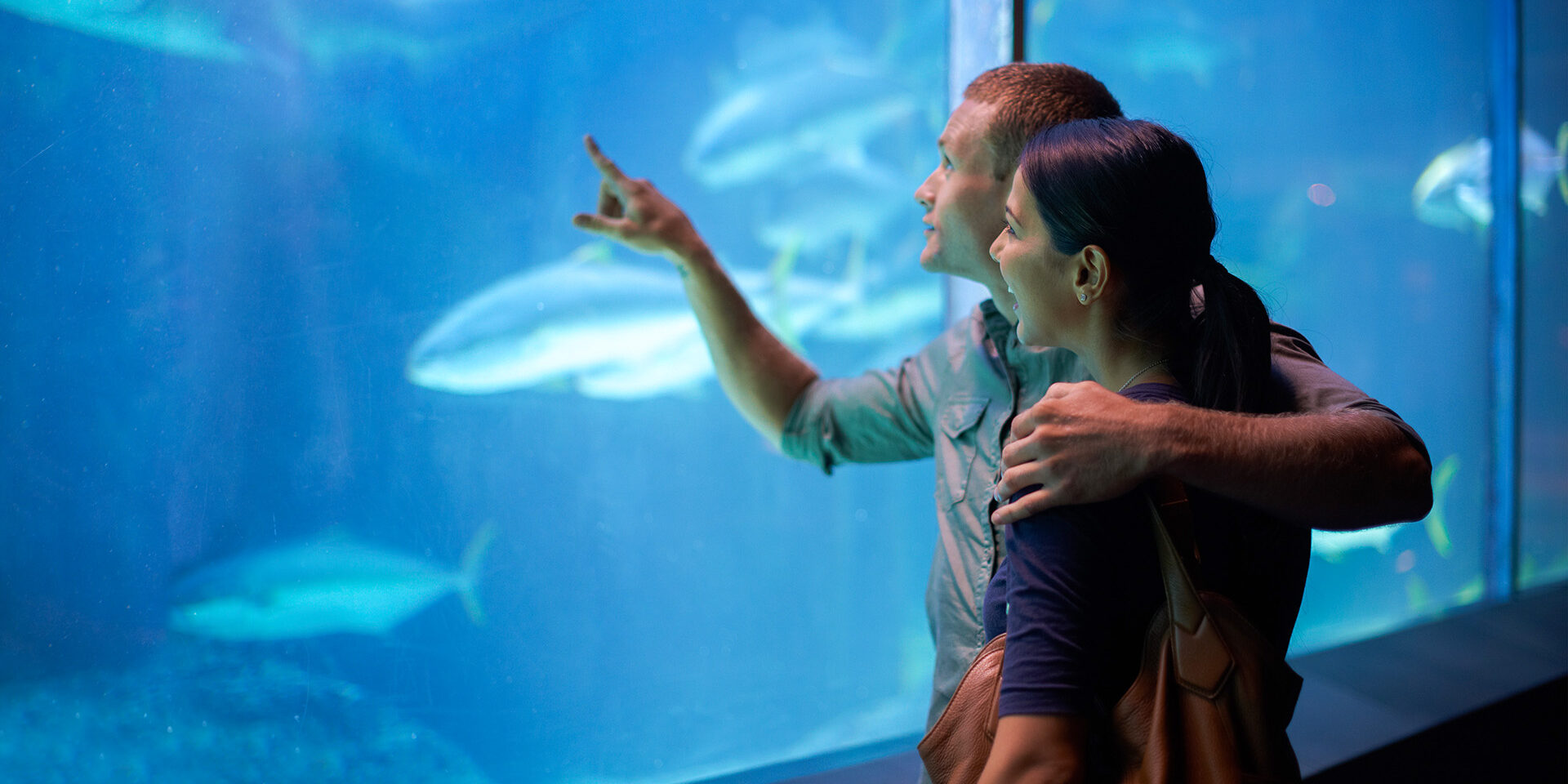 Deep sea dating Shot of a young couple looking at the fish in an aquarium
