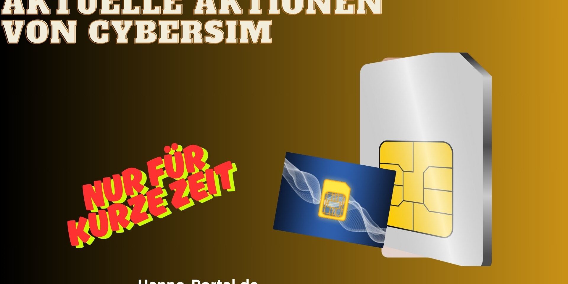 3_cybersim_110525 3_cybersim_110525