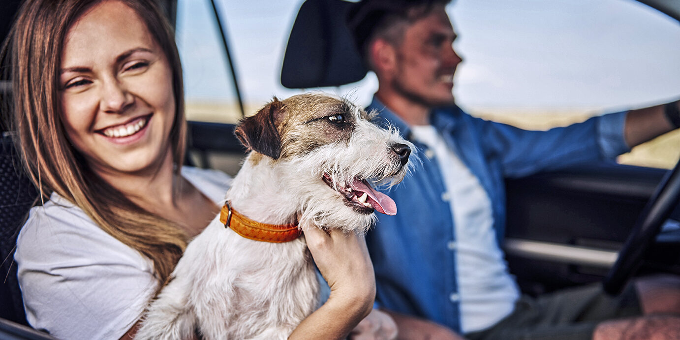 Happiness couple and their dog traveling together.