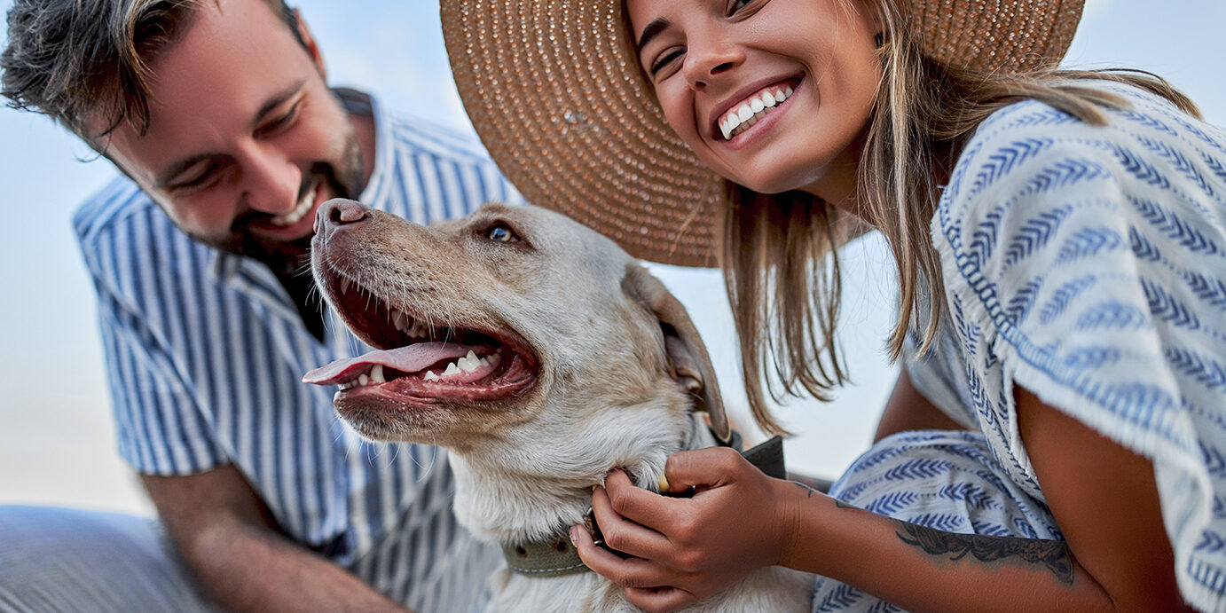 A cute woman in a dress and a straw hat and a handsome man in a striped shirt with their labrador dog are having fun on the seashore.