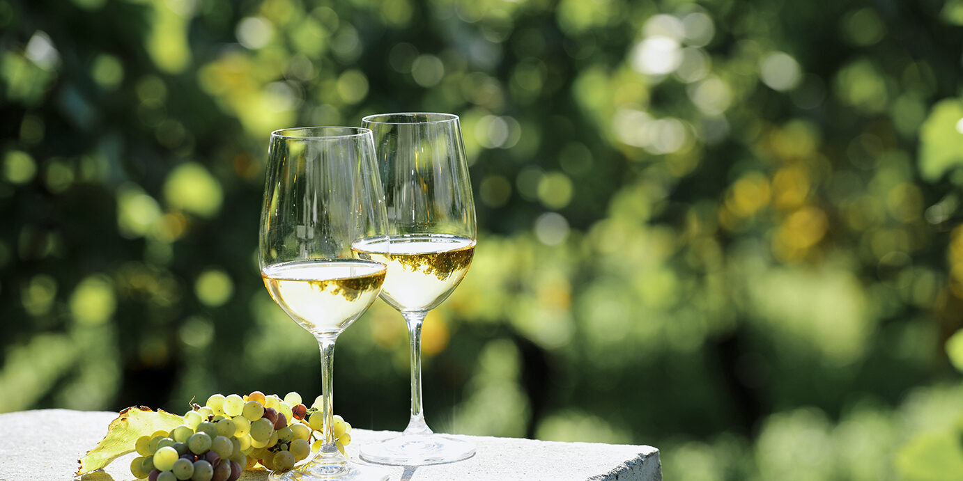 Two glasses of white wine (Risling) in vineyard