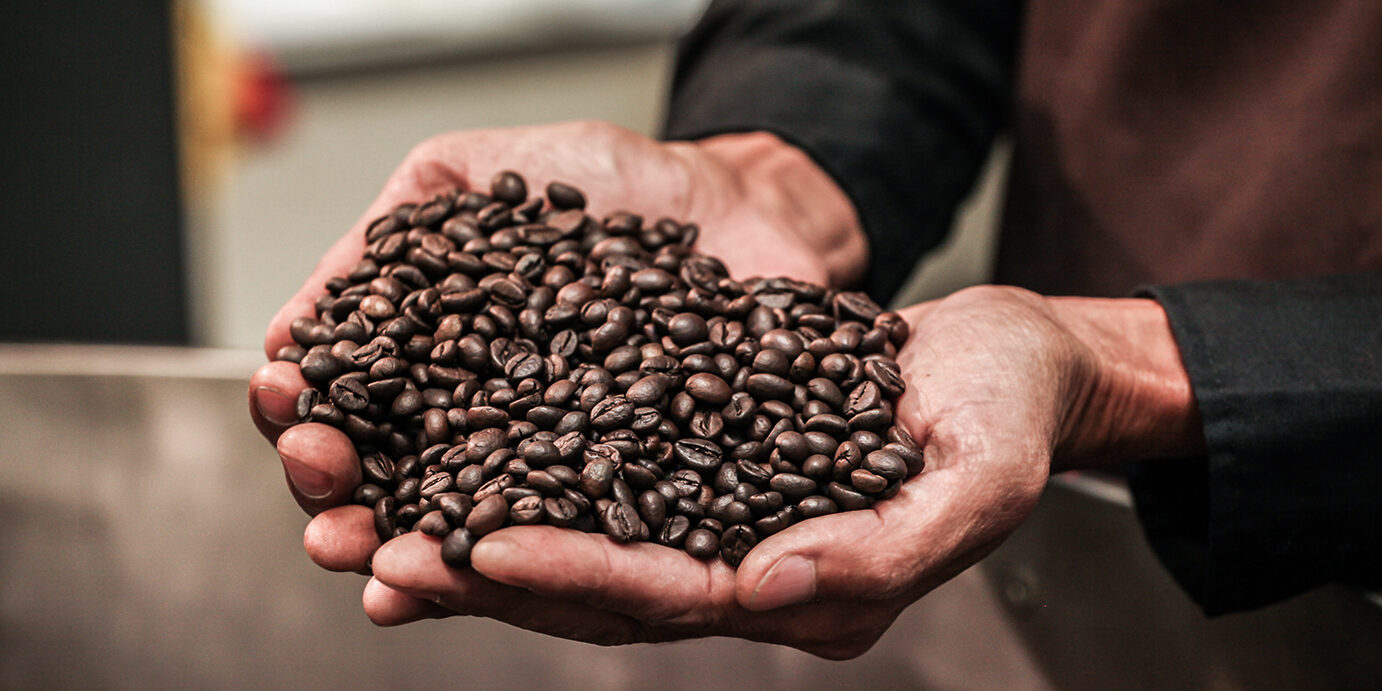 roasted coffee beans in hand