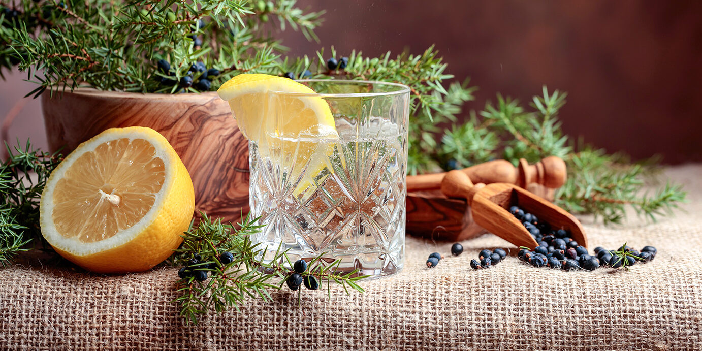 Cocktail gin, tonic with lemon and a branch of juniper with berries. Copy space for your text.