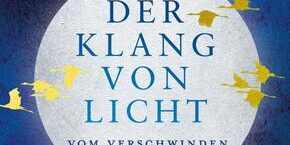 49207169A 49207169A