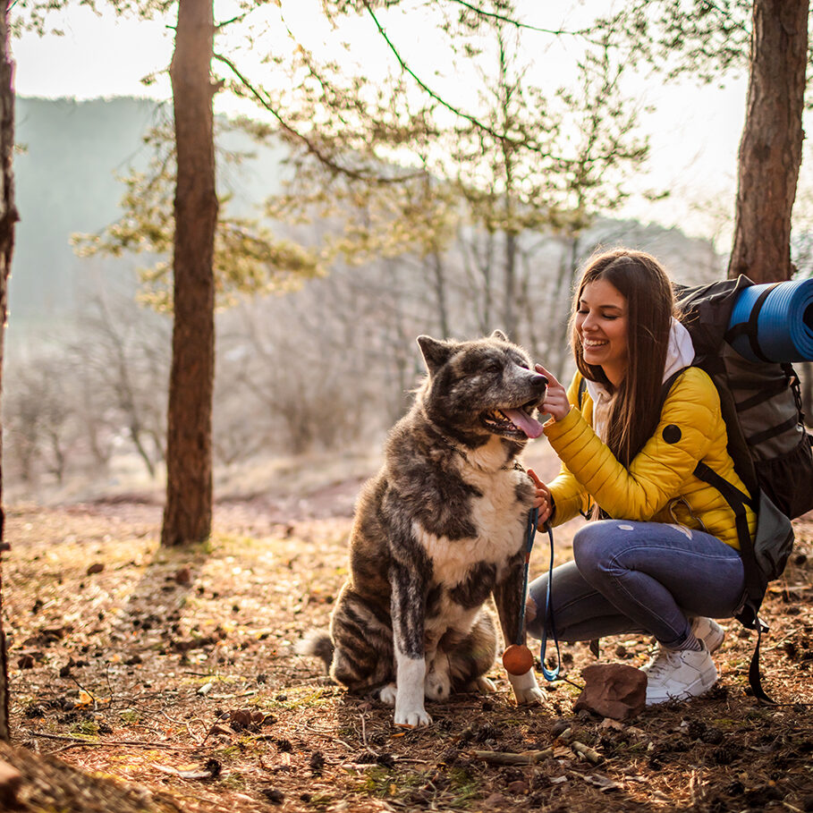 Woman with her dog hiking in the forest, getting away from the city concept.