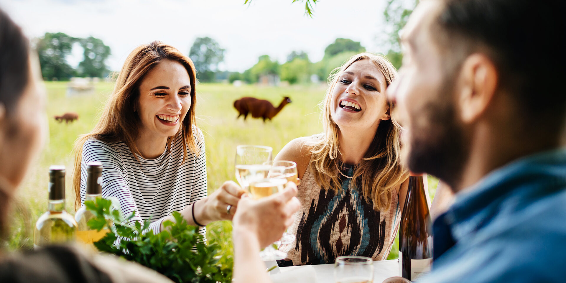 Friends Drinking Wine Together Having Lunch Outdoors A young group of friends smiling and drinking wine together while having lunch at a local farm.