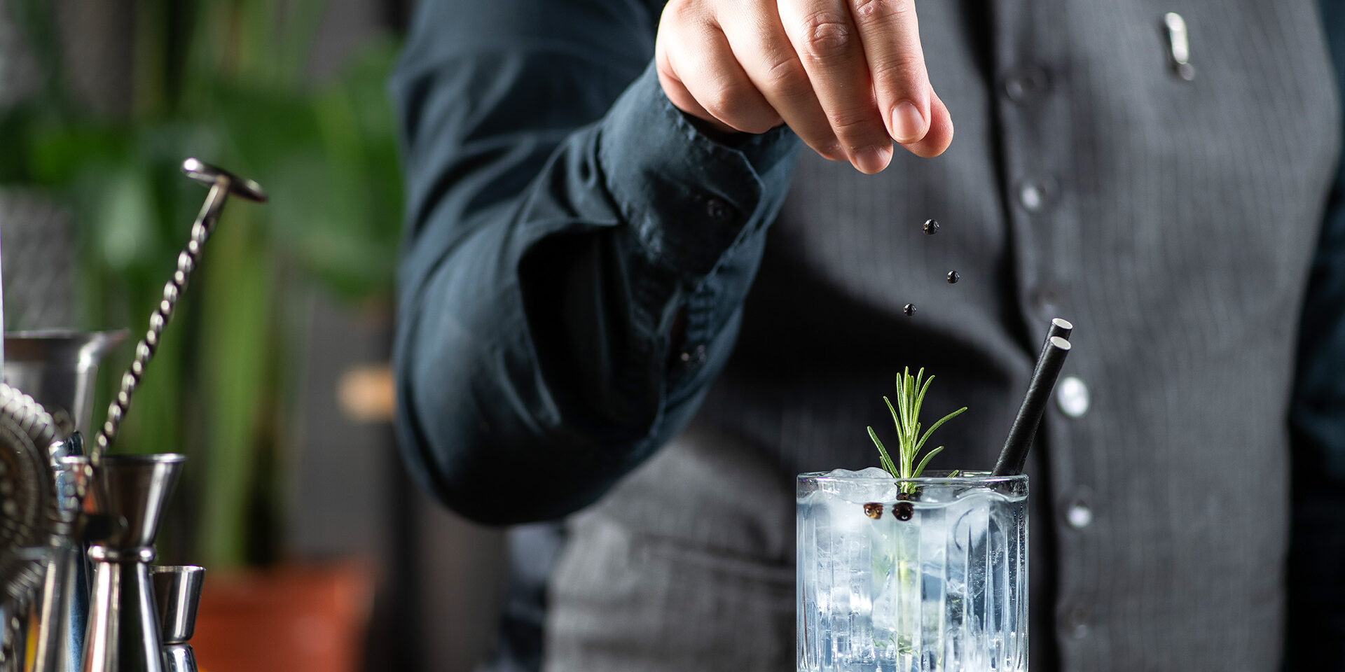 Gin Tonic Elegance with Aromatic Touch of Dried Juniper Berries Crafted Gin Tonic cocktail served with the aromatic touch of dried juniper berries, expertly prepared by a skilled bartender