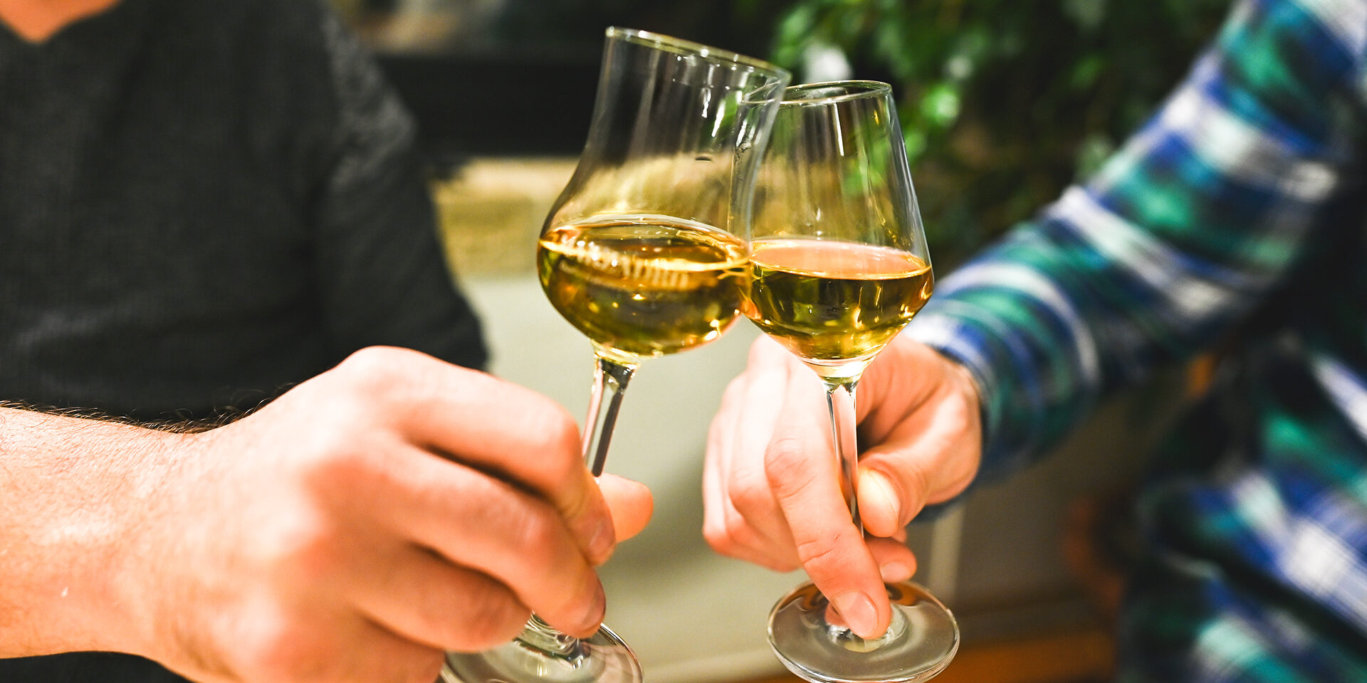 Man's hand holding a glass of grappa.