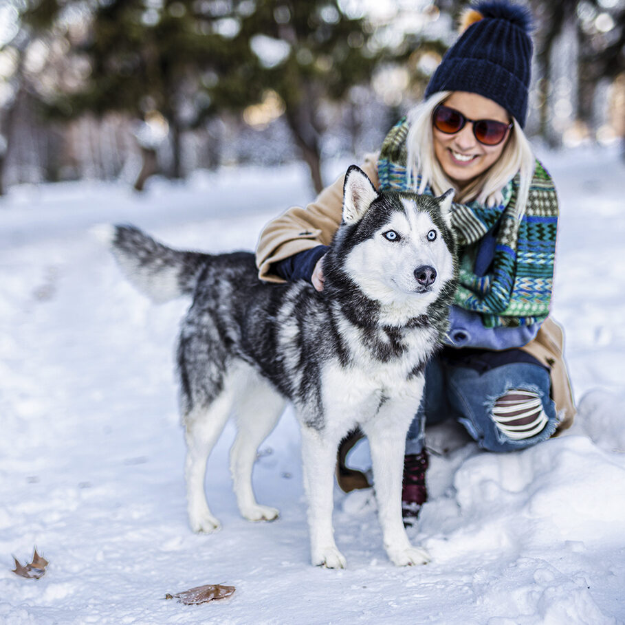 Woman is huging husky dog