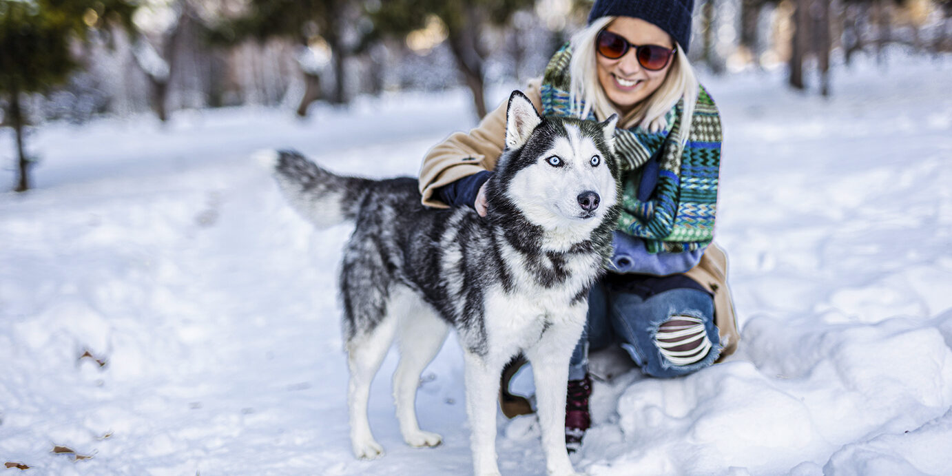 Woman is huging husky dog
