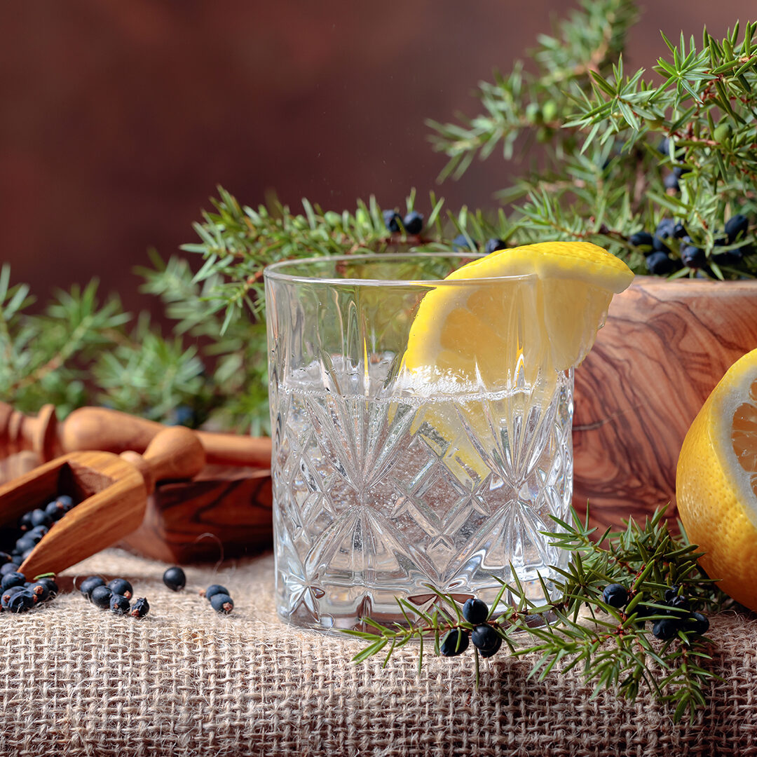 Tonic with lemon and a branch of juniper with berries. Copy space for your text.