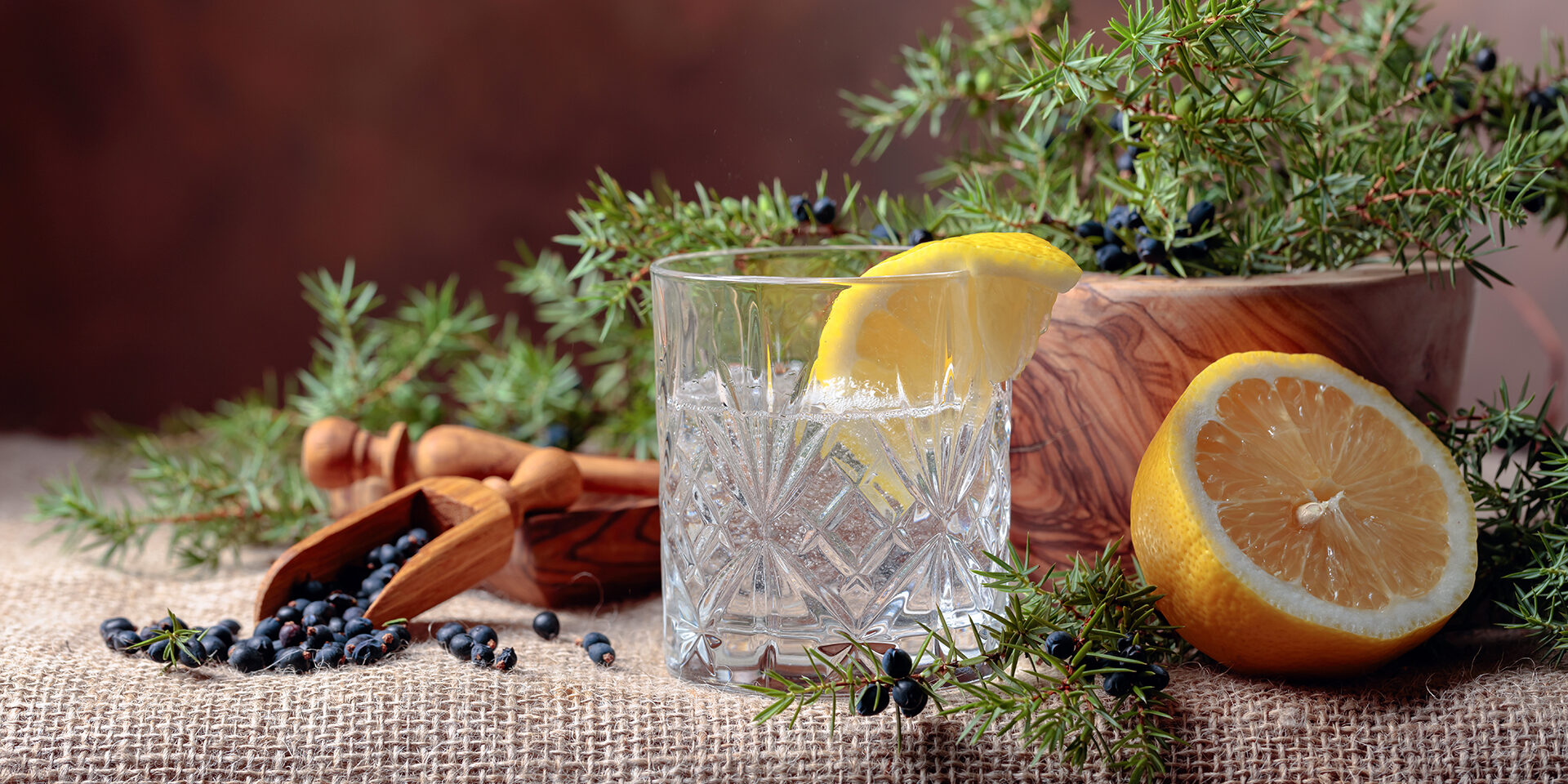 Tonic with lemon and a branch of juniper with berries. Tonic with lemon and a branch of juniper with berries. Copy space for your text.