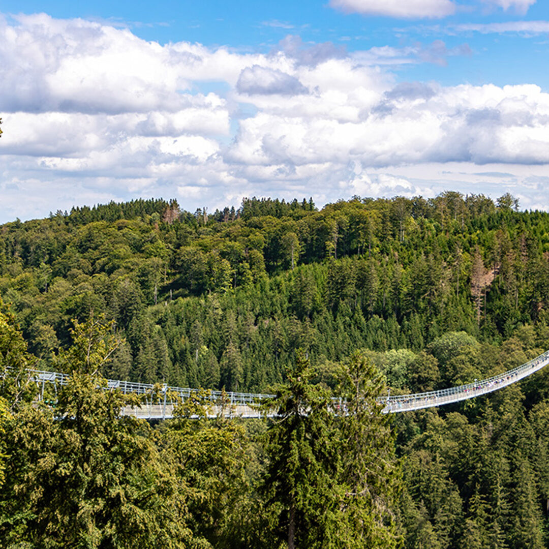 Skywalk Suspension bridge in Willingen, Germany