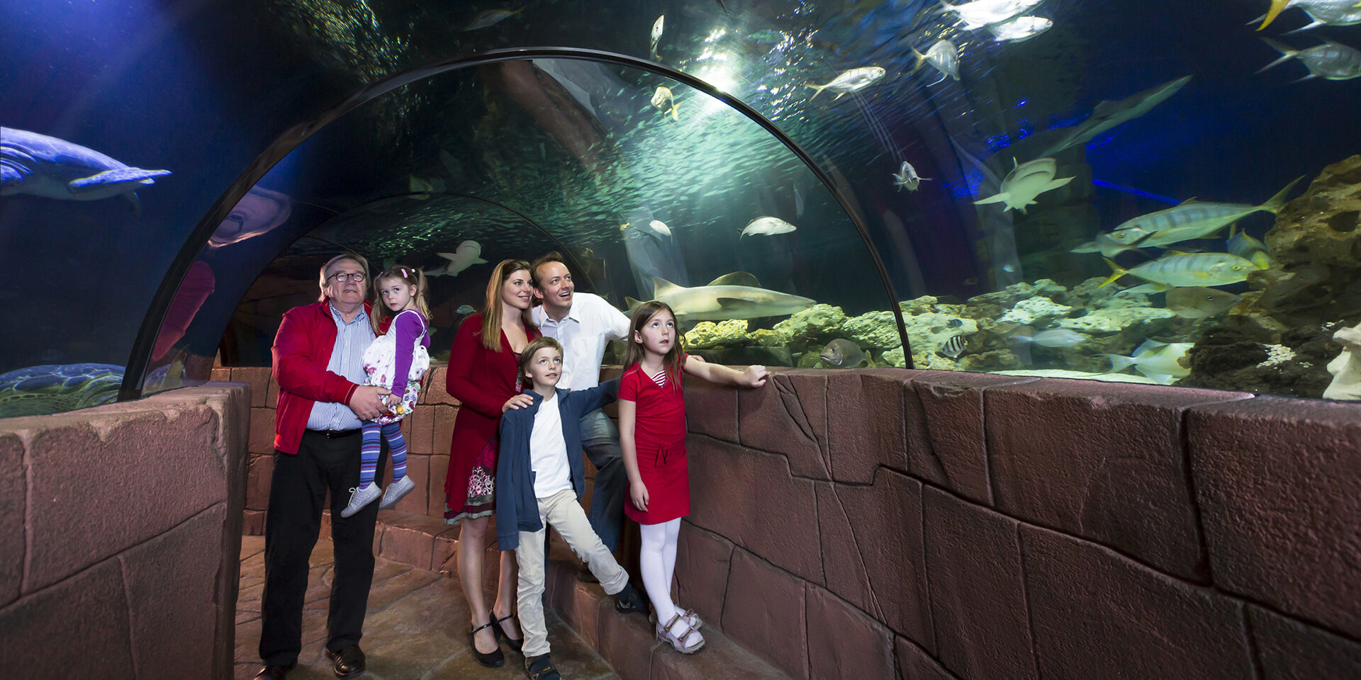 60952 Hannover, Niedersachsen, 15. bis 17.04.2013
Foto: SEA LIFE Aquarium Hannover
© Dirk Eisermann