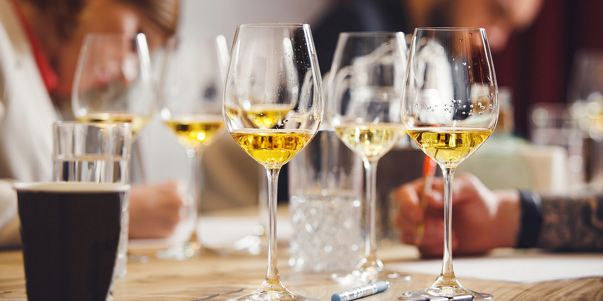 Blind wine tasting, Sommelier passes training for get the certification. Wine waiter school, winemaking lecture. Sommelier passes training for get the certification. Blind wine tasting. Wine waiter school, winemaking lecture. Sommelier courses for beginners and experienced.