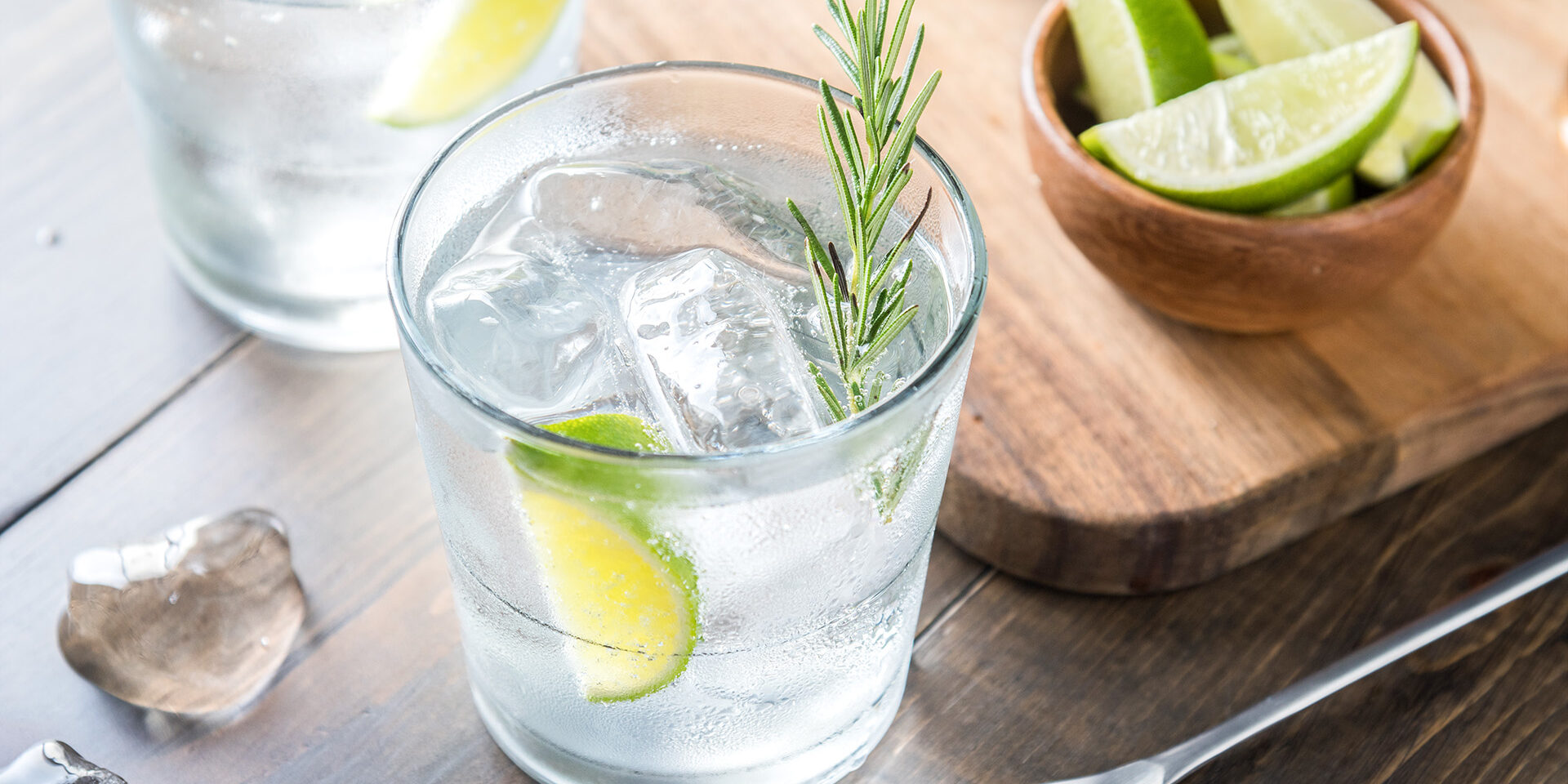 fresh gin tonic fresh gin tonic