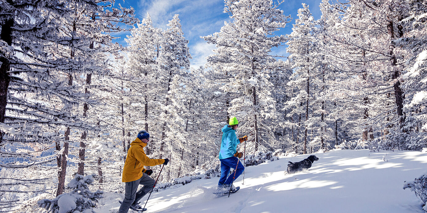 Snowshoeing on sunny day. Snowshoeing in powder snow.