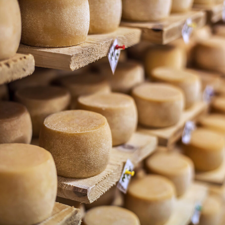 Cow milk cheese, stored in a wooden shelves and left to mature