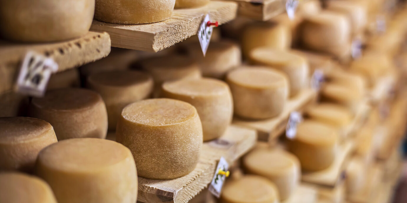 Cow milk cheese, stored in a wooden shelves and left to mature