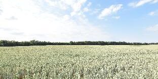 7c146d4bd9d360b83eba94e7d3415e1c 7c146d4bd9d360b83eba94e7d3415e1c