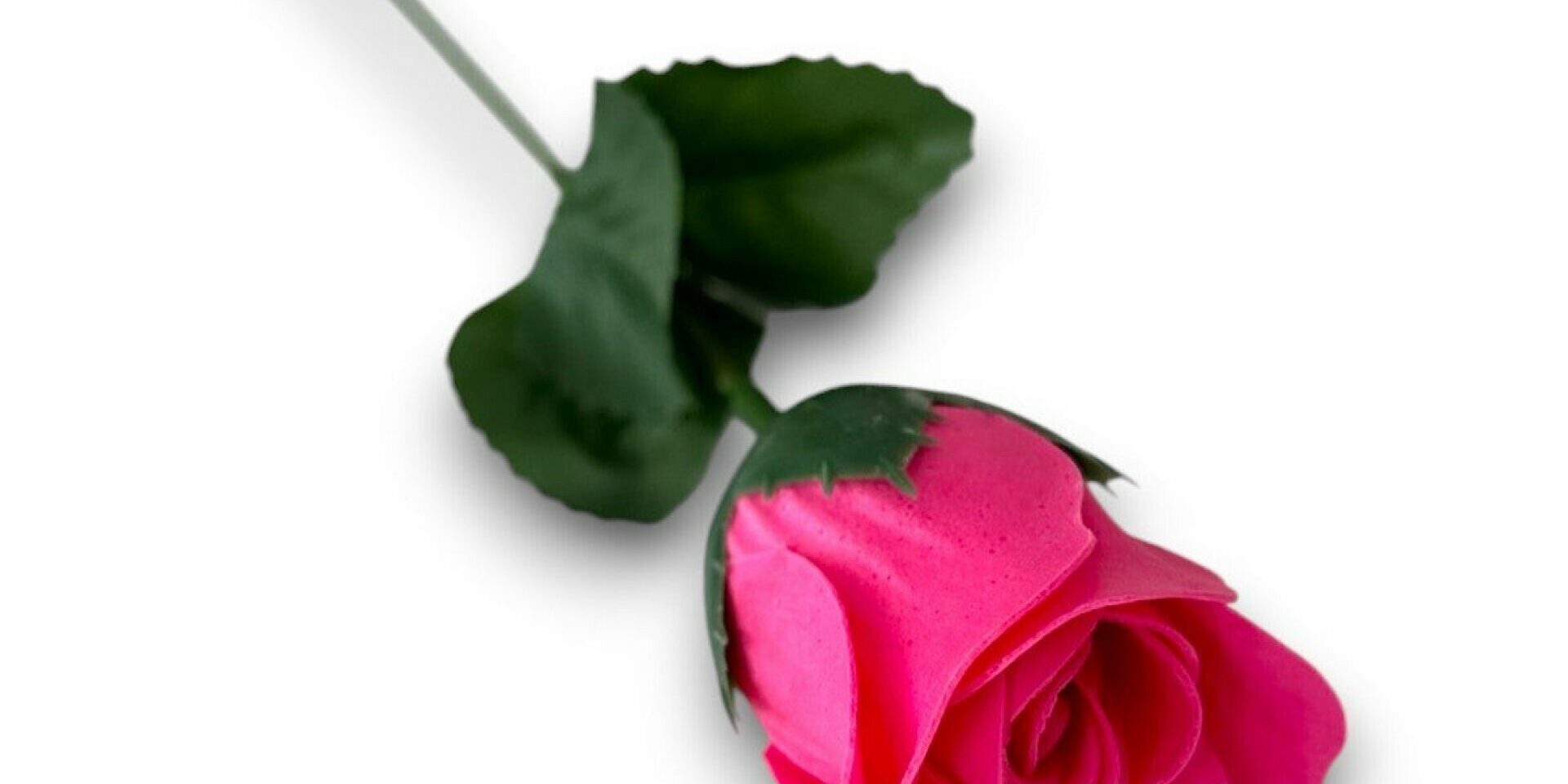 baderose-am-stiel-seifenrose-4g-rosen-duft-badekonfetti-als-rose-mit-stiel-379-thumb-1920x9999-m baderose-am-stiel-seifenrose-4g-rosen-duft-badekonfetti-als-rose-mit-stiel-379-thumb-1920x9999-m