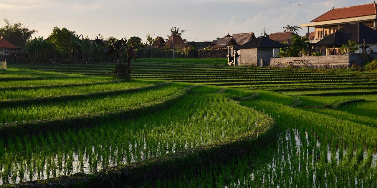 bali-7455506_1280 bali-7455506_1280