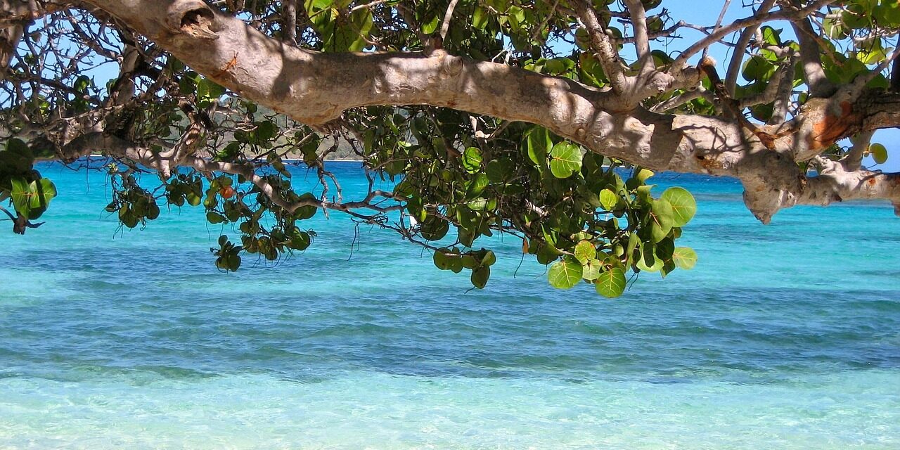 barbados-92162_1280