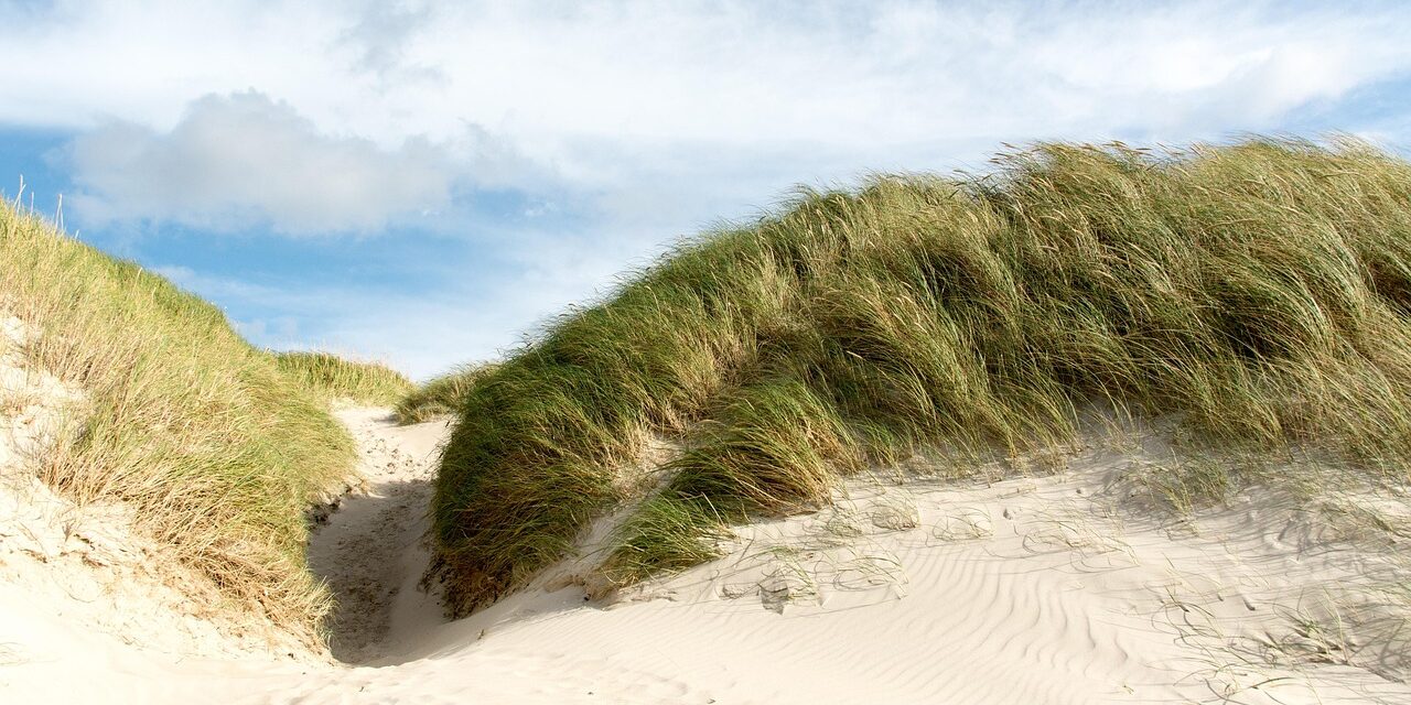 beach-5118039_1280