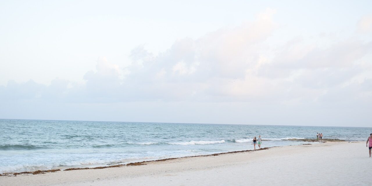 beach-5451429_1280 beach-5451429_1280