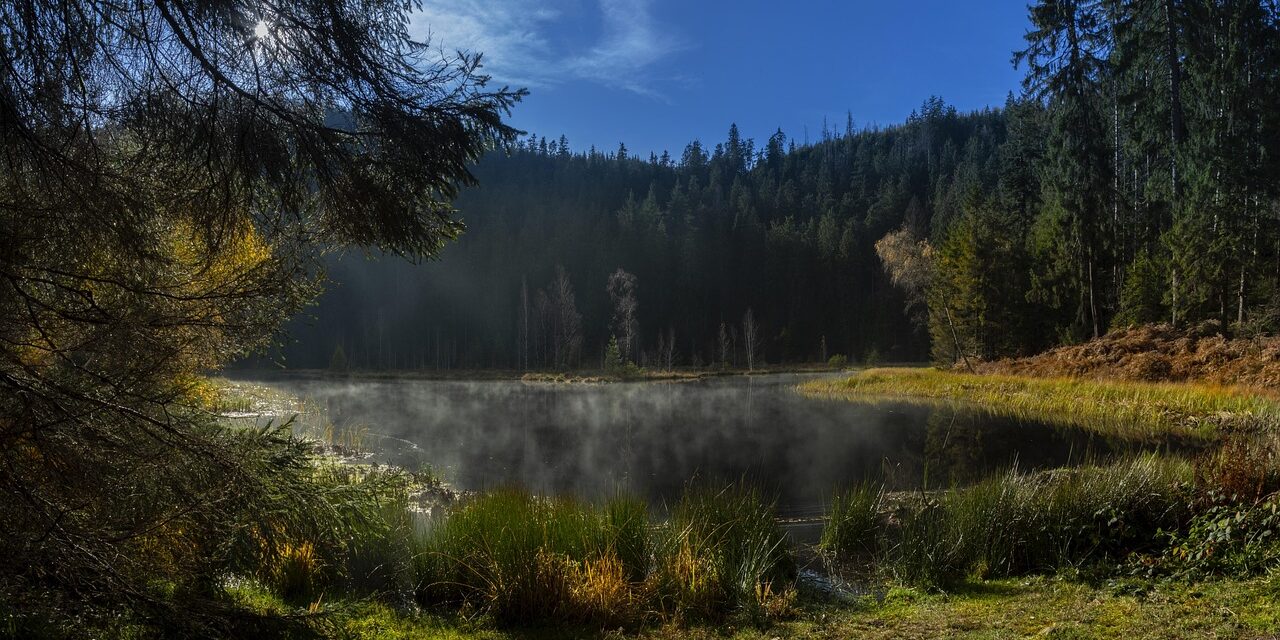 buhlbachsee-4686691_1280 buhlbachsee-4686691_1280