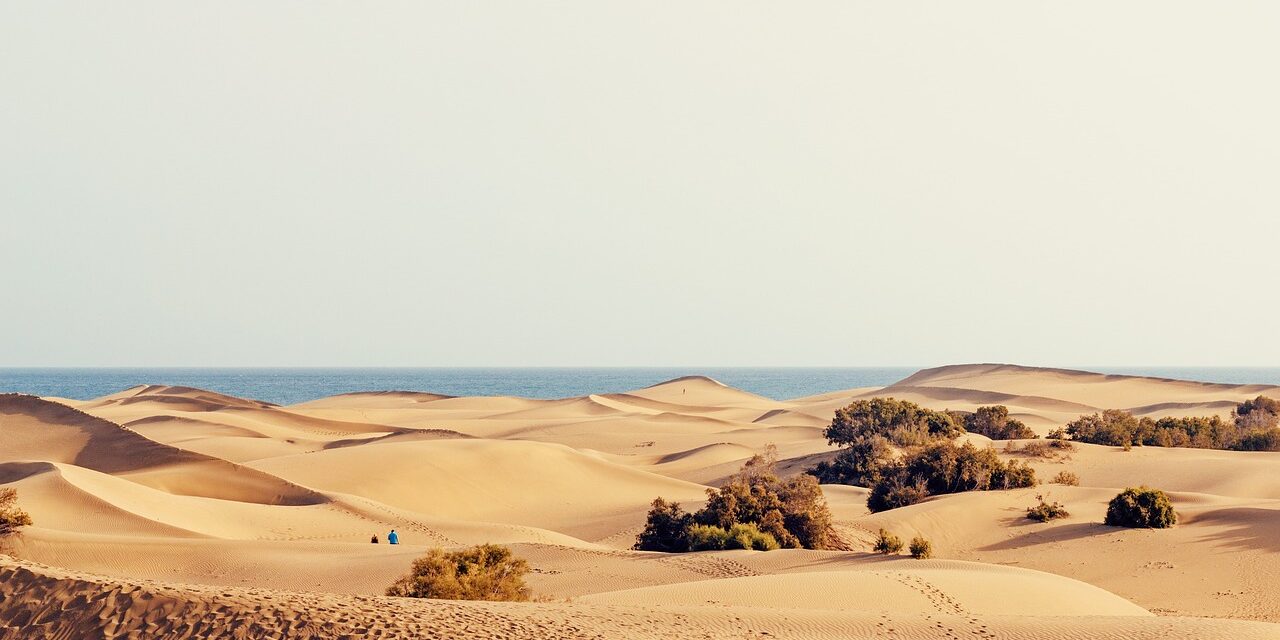dunes-1646099_1280 dunes-1646099_1280