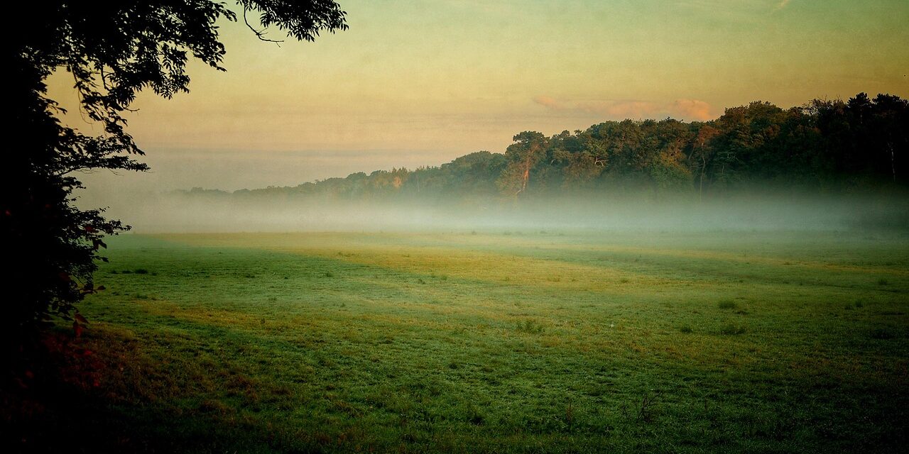 fog-9048436_1280 fog-9048436_1280