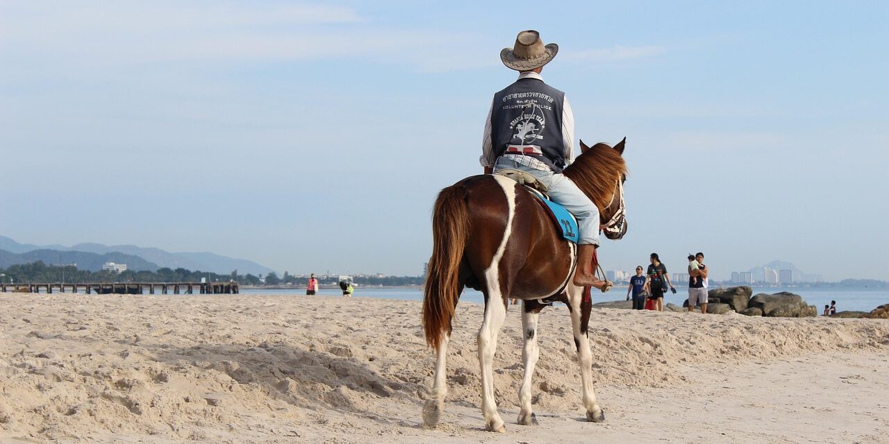 horse-3325624_1280 horse-3325624_1280