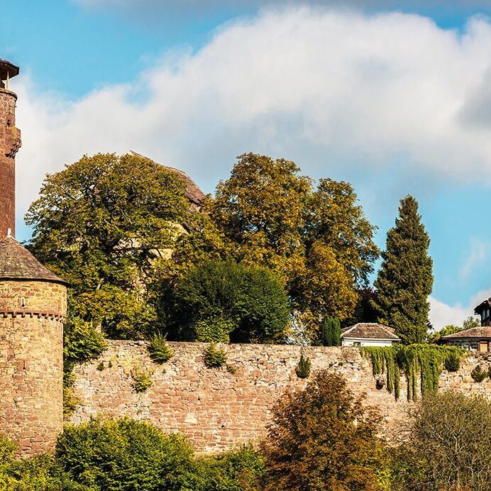 hotel-burg-trendelburg-48364