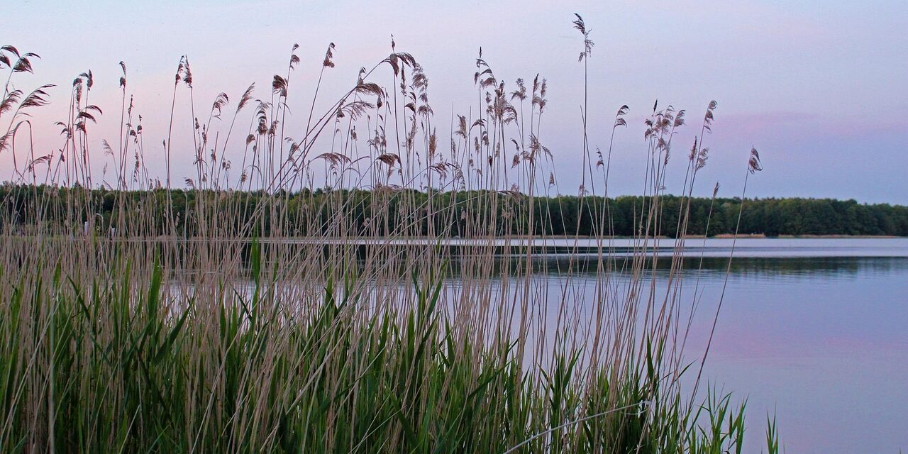 lake-194738_1280 lake-194738_1280