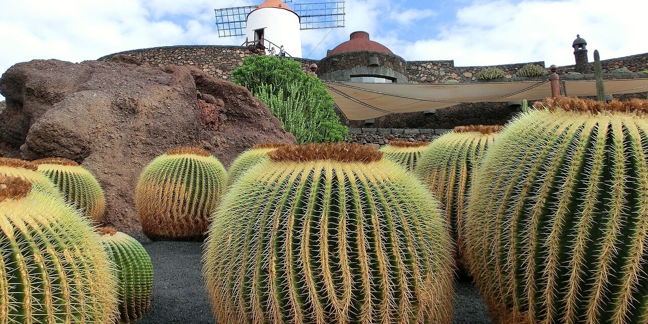 lanzarote-211043_1280 (2) lanzarote-211043_1280 (2)