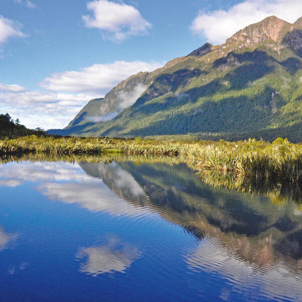 large_8a0092fd50421d2e01511cce90592b83-Neuseeland-Milford-Sound