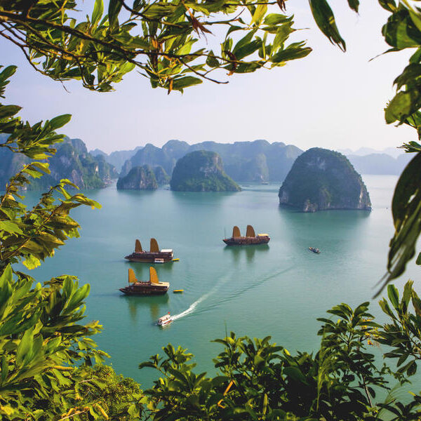 large_8a0092fd50421d2e01511dd42c1b46bb-Vietnam-Halong-Bucht