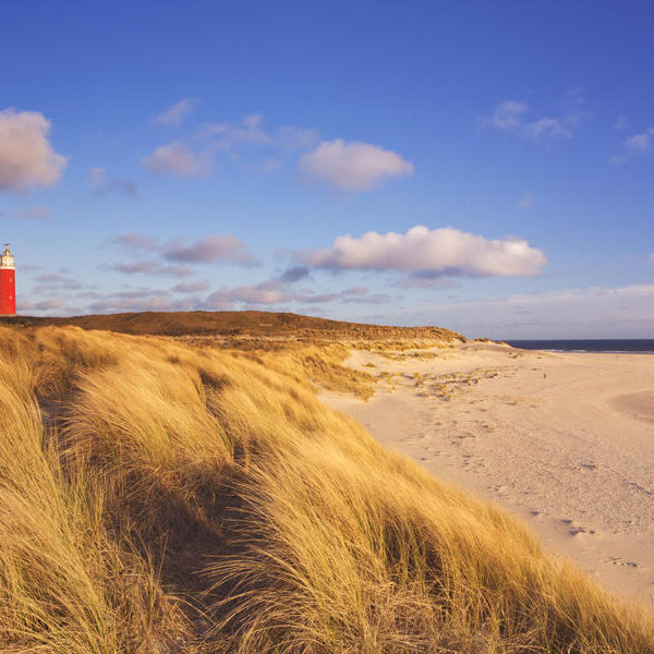 large_8a0092fd56310a410156c5a7d4eb2b72-Niederlande-Nordholland-Texel