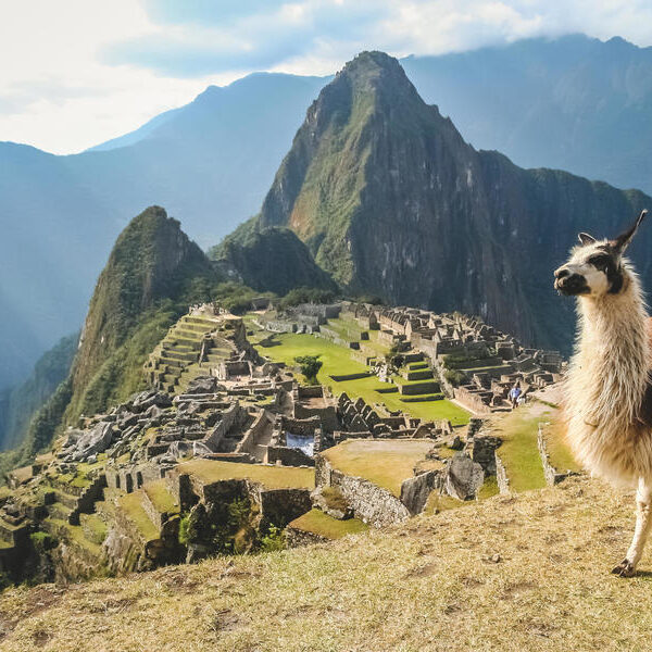 large_8a0092fd588c726b0158950a63d018cb-Peru-Machu-Picchu