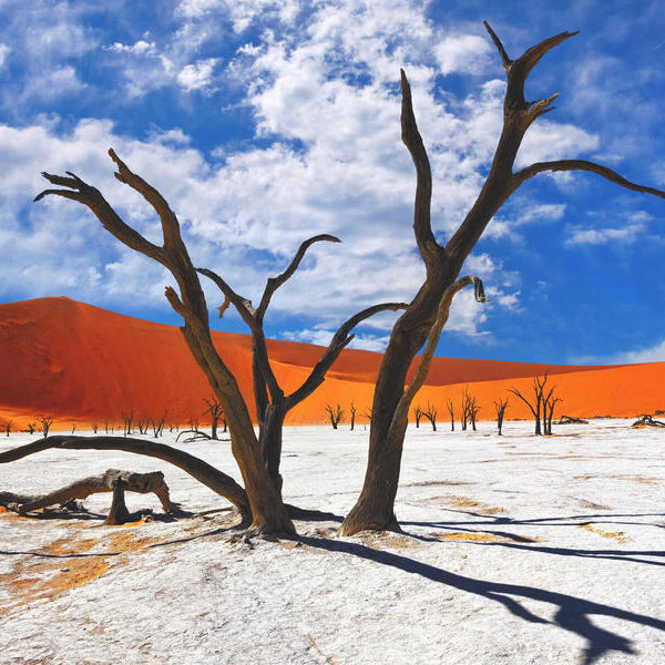 large_8a0092ff5ea31079015ea37c864a737c-Namibia-Sossusvlei