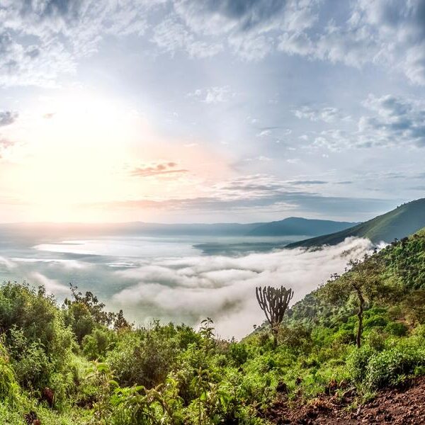 large_8a0092ff6ab43cfe016ad51e71bd2463-Ngorongoro-Krater-Tansania