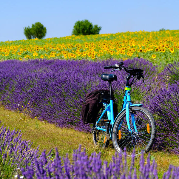 large_8a0092ff6ffc28d601702f3e2ff16103-Frankreich-Provence-Alpes-Cte-d-Azur