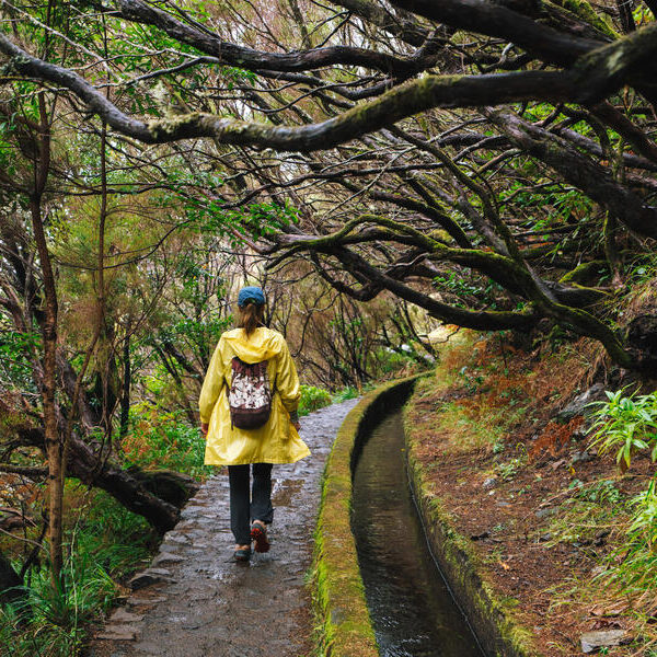 large_8a0092ff8bb242db018bb3f440b8362b-Portugal-Madeira-Levada-Nova