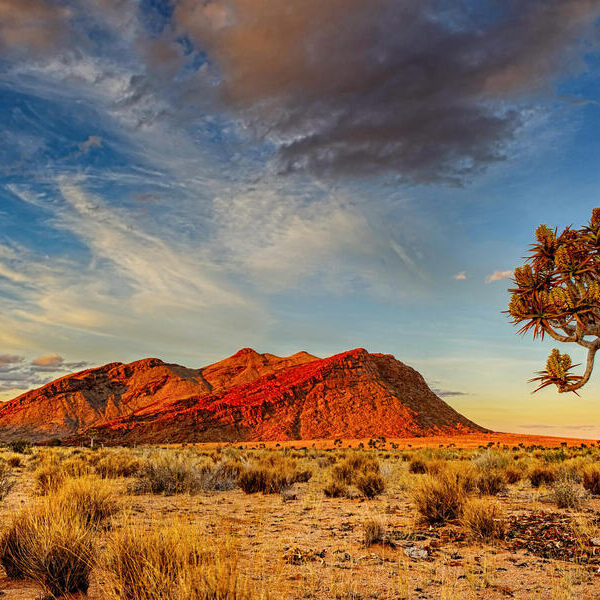 large_8a0092ff8f6feae1018f711ba54b4803-Namibia-Kalahari-