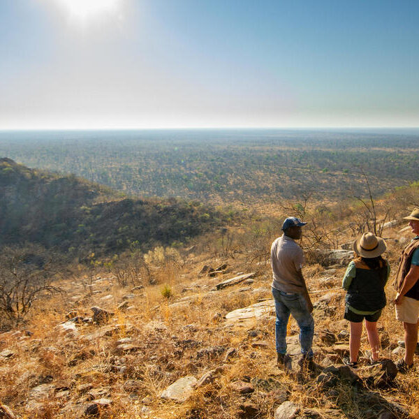 large_8a0092ff906c426101906d4a34055ce1-Botswana-Kajaja-Nxamaseri-Island-Lodge