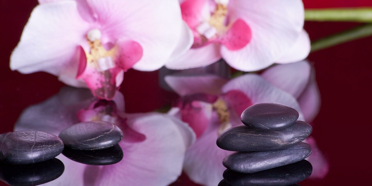 massage-599476_1280 massage-599476_1280