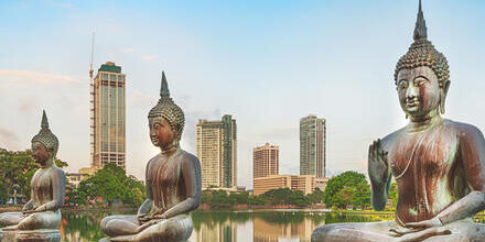 medium_8a0092fd591d101d0159b72263e55666-Sri-Lanka-Colombo medium_8a0092fd591d101d0159b72263e55666-Sri-Lanka-Colombo