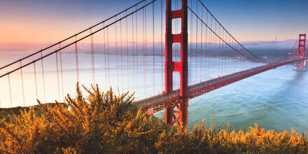 medium_8a0092ff621f2e31016243b7ccfa6cf2-USA-Kalifornien-San-Francisco medium_8a0092ff621f2e31016243b7ccfa6cf2-USA-Kalifornien-San-Francisco