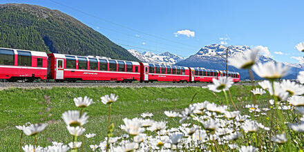 medium_8a0092ff7fba1ba2017fbce5b3211666-Rhaetische-Bahn-Bernina-Express-Albulalinie